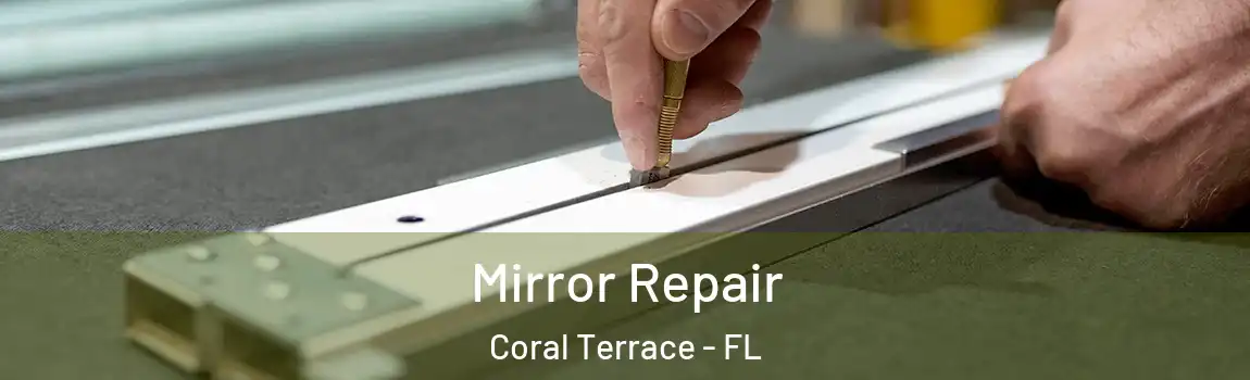  Mirror Repair Coral Terrace - FL